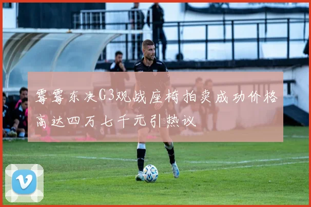 霉霉东决G3观战座椅拍卖成功价格高达四万七千元引热议